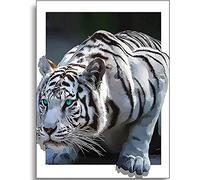 Instarry 5D Diamond Painting Punto de Cruz Diamante Tigre Blanco Cuadros Decoracion Salon Grandes 75x50 cm