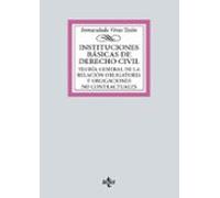 Instituciones Basicas De Derecho Civil