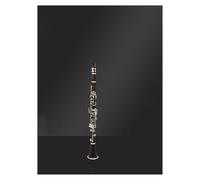Instrumento Clarinete Clarinete En Si Bemol Plateado Para Principiantes Examen De Ingreso Escuela Orquesta
