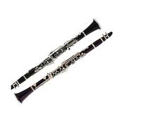 Instrumento Clarinete Clarinete Instrumento Adulto Principiante Examen Escuela Tocando Clarinete Si Bemol Baquelita