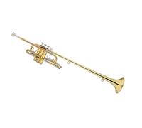 Instrumento de banda de trompeta para estudiantes principiantes profesional B bemol versión extendida trompeta instrumento de metal