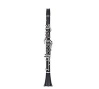 Instrumento de Clarinete Clarinete Bb Tune De 17 Teclas, Cuerpo De Tubo De Goma Dura, Teclas De Cobre Y Níquel, Clarinete Con Caja Acolchada (Color : 02)