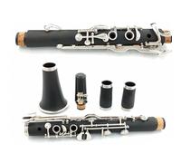Instrumento de Clarinete Cuerpo De Tubo De Resina ABS, Niquelado, 18 Teclas, Clarinete En Tono G Con Bolsa De Lona Y Accesorios