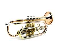 Instrumento De Corneta De Bronce Fosfor Plana B