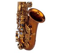 Instrumento De Saxofón Alto E Plano, Examen De Grado De Bronce Mate Dorado Y Bronce, Rendimiento Profesional Para Principiantes (Color : 02)