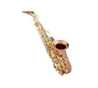 Instrumento De Saxofón Alto Examen Para Principiantes Adultos Instrumento De Interpretación Profesional