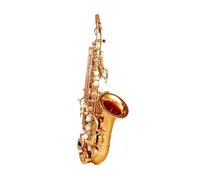 Instrumento De Saxofón Saxophone Pequeño Tubo Doblado B Plano Adulto Principiante Instrumento De Juego Profesional