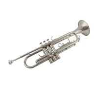 Instrumento De Trompeta Estudiante Principiante Actuación Profesional Instrumento De Viento Escolar Para Adultos Si Bemol