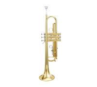 Instrumento De Trompeta Nivel De Rendimiento Profesional Adulto Universal B Trompeta Plana Instrumento De Viento