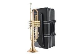Instrumento De Trompeta Nivel De Rendimiento Profesional Banda De Viento Para Adultos B Instrumento De Trompeta De Bronce Fósforo De Latón Plano (Color : 04)