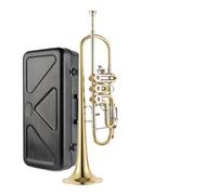 Instrumento De Trompeta Nivel De Rendimiento Profesional Banda De Viento Para Adultos B Instrumento De Trompeta De Bronce Fósforo De Latón Plano (Color : 06)