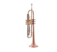 Instrumento De Trompeta Para Banda De Estudiantes Principiante B Plano Profesional Instrumento De Latón Fósforo Bronce