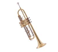 Instrumento De Trompeta Para Principiantes, Estudiante B Plano, Banda De Actuación Profesional, Trompeta, Instrumento De Latón (Color : 02)