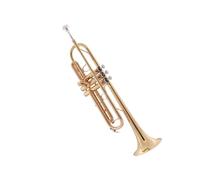 Instrumento De Trompeta Para Principiantes, Estudiante B Plano, Banda De Actuación Profesional, Trompeta, Instrumento De Latón (Color : 04)