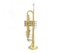 Instrumento De Trompeta Principiante Nivel De Rendimiento Profesional Adulto B Trompeta Plana Lacada En Oro
