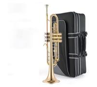 Instrumento De Trompeta Profesional Nivel De Rendimiento Principiante Adulto B Lacado Plano Dorado