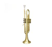 Instrumento De Trompeta Profesional Nivel De Rendimiento Principiante Adulto B Lacado Plano Dorado