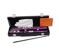 Instrumento de viento de madera con 16 agujeros cerrados para estudiantes, con palo de limpieza y paño para principiantes, fácil de tocar, profesional, horizontal, con bolsa de paño de limpieza
