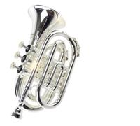 Instrumento De Viento Estándar De Latón Instrumento De Trompeta Niquelado Y Bañado En Oro Para Que Lo Toquen Los Principiantes(Silver-plated)