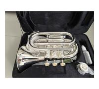 Instrumento De Viento Estándar De Latón Trompeta Profesional Para Principiantes En Si Bemol Con Accesorios Completos(Silver-plated)