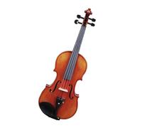 instrumento de violín Instrumento Musical De Violín 4/4, Violín Acústico De Madera De Abeto Con Estuche, Juego De Accesorios De Cuerdas De Tela Con Soporte Para Hombros Y Arco (Color : 4/4 Violin set