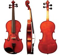 Instrumento de Violín Liuteria Allegro - -