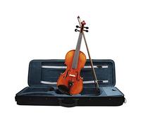 Instrumento Musical de violín 4/4, violín acústico de madera de abeto con estuche, juego de accesorios de cuerdas de tela con soporte para hombros y arco (Color : 4-4)