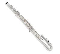 Instrumento profesional de flauta de ejercicios de enseñanza, 16 agujeros cerrados, chapado en plata, llave en C, flauta electrónica para principiantes (celda abierta)