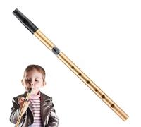 Instrumentos de Hand Percussion - Six-Hole Tin Whistle, Beginner