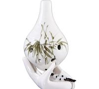 Instrumentos musicales, Ocarina, Principiantes de Ocarina de 6 Agujeros Introducción al Instrumento Alto a Seis Agujeros Estudiantes Regalo for Adultos Flauta de Ocarina (Color : O) (Color : B)