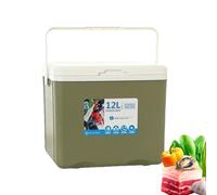 Insulated Cooler Box, 12l Car Organizer, Hot Cold Food Container, Ice Retention Basin, (12.4x9.06x10.04 Inches), Perfect For Picnic, Fishing, and Beverages Necessities