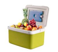 Insulated Cooler Box - Leakproof Ice Cooler Bag, Portable Large Capacity Picnic Carrier, Durable Travel Package With Ergonomic Handle | Outdoor BBQ Picnic Drinks Snacks Storage Bag For Beach Camping H