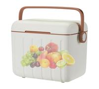 Insulated Cooler Box, Outdoor Ice Chest, 10.63x9.45x7.48 Inches Portable 6L Container, Compact Beverage Carrier with 6 Ice Packs for Beach Travel Picnic Camping Hiking Gym Sports and Daily Use