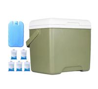 Insulated Cooler, Camping Portable Insulation Refrigerator, 11.02x7.87x9.84 Inches Thick Thermal Wall, Leakproof Liner, Ice Chest Food Containers for Travel Beach Hiking Picnic Use