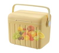 Insulated Cooler, Outdoor Ice Chest, 6l Portable Box with 6 Ice Packs, Leakproof Thermal Container, Lightweight Carry Solution, Ideal for Drinks, Hiking, Camping, Travel, Beach, 10.63x9.45x7.48 Inches