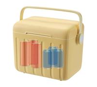 Insulated Cooler, Outdoor Ice Chest, 6L Portable Box with Ice Packs, Leakproof Thermal Container, Compact Carry Handle, Ideal for Drinks Storage, Hiking, Gym, Camping, Sports, BBQ, Beach, Travel, Disa