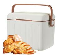 Insulated Cooler, Outdoor Insulated Box with 6 Ice Packs, PP and PU 6L Portable Ice Chest Picnic Cooling for Drinks, Daily Hiking, Gym, Camping, Sports, Barbecue, Disaster Travel, Beach, 27x24x19cm