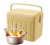 Insulated Cooler, Outdoor Insulated Box with 6 Ice Packs, PP and PU 6L Portable Ice Chest Picnic Cooling for Drinks, Daily Hiking, Gym, Camping, Sports, Barbecue, Disaster Travel, Beach, 27x24x19cm