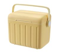 Insulated Cooler, Outdoor Portable Chest, 10.63x9.45x7.48 Inches, Leakproof Picnic Chiller with 6 Ice Packs, 6L Compact Insulated Box for Drinks Food, Camping Gym Hiking Beach Travel Barbecue