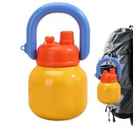 Insulated Water Bottle, 650ml Metal Drinkware, Carry Handle, School Park