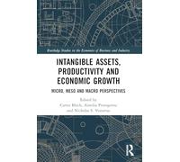 Intangible Assets, Productivity and Economic Growth: Micro, Meso and Macro Perspectives (Routledge Studies in the Economics of Business and Industry)