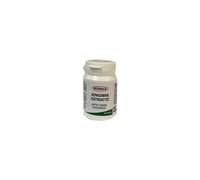 Integralia Jengibre Extracto Vegano 60 caps