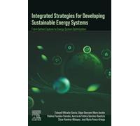 Integrated Strategies for Developing Sustainable Energy Systems: From Carbon Capture to Energy System Optimization
