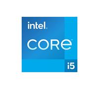 Intel Bandeja CPU/Core i5-12400F 4.40GHZ LGA1700