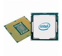 Intel S4189 XEON Gold 6342 Bandeja 24x2,8 230W
