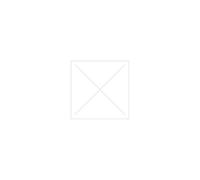 Intel® Unidad de Estado sólido DC P3600 800 GB