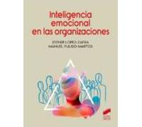 Inteligencia Emocional De Las Organizaciones (ebook)