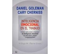 Inteligencia emocional en el trabajo: Cómo seleccionar y mejorar la inteligencia emocional en individuos, grupos y organizaciones (Ensayo)