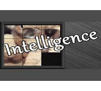 Intelligence (PC) Steam Key - GLOBAL