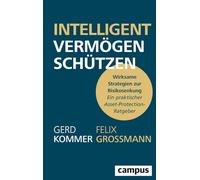 Intelligent Vermögen schützen: Wirksame Strategien zur Risikosenkung - ein praktischer Asset-Protection-Ratgeber
